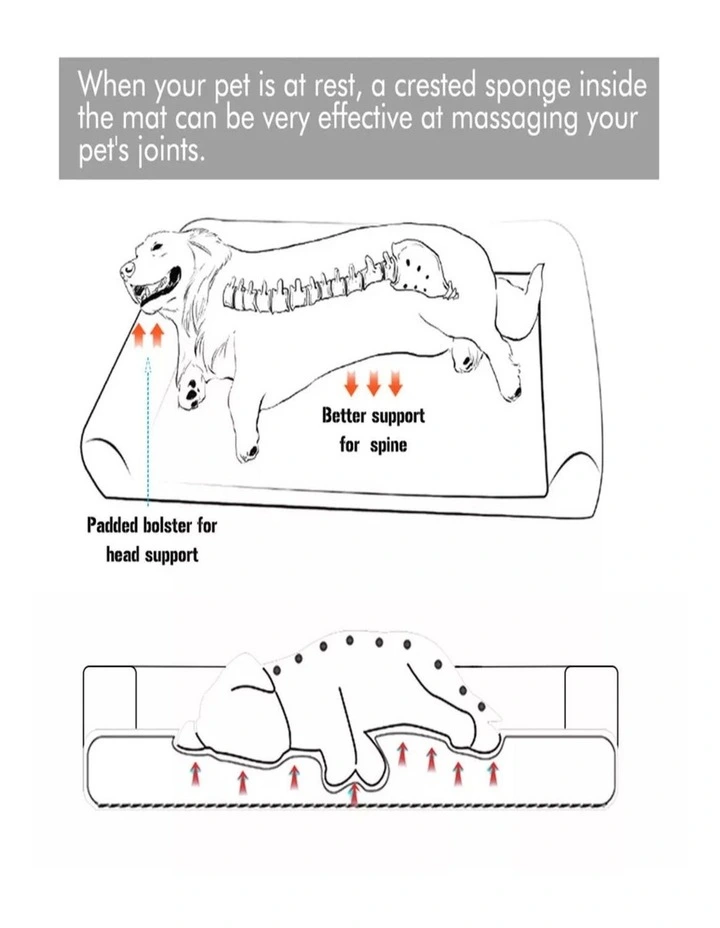 Brown Elevated Dog Cot Bed Bolster Support Breathable Mesh Pet Lounger XXL image 4