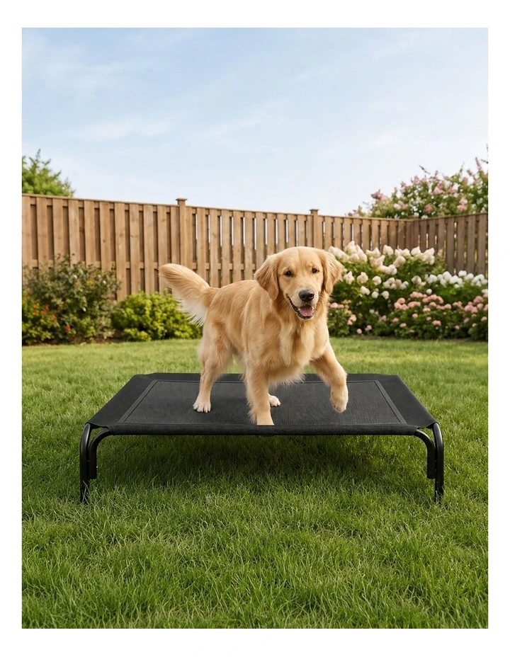 PaWz Raised Dog Bed Elevated Cooling Breathable Mesh for Indoor Outdoor Black image 6