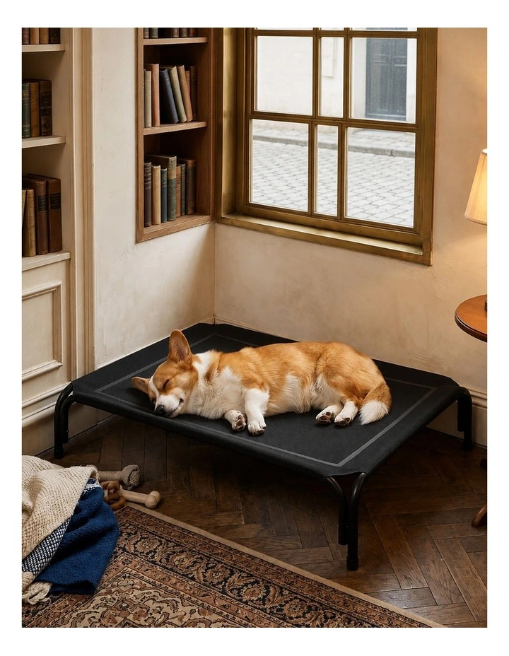 PaWz Raised Dog Bed Elevated Cooling Breathable Mesh for Indoor Outdoor Black image 7