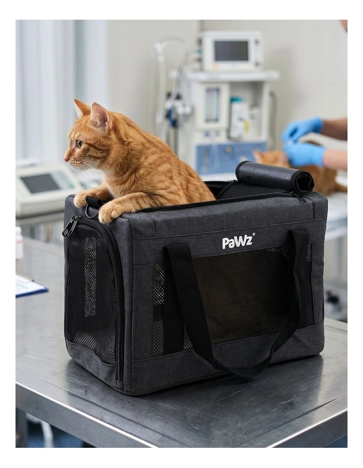 Pawz Cat Carrier Airline Under-Seat Pet Carrier 5mm Frame Black Oxford image 4