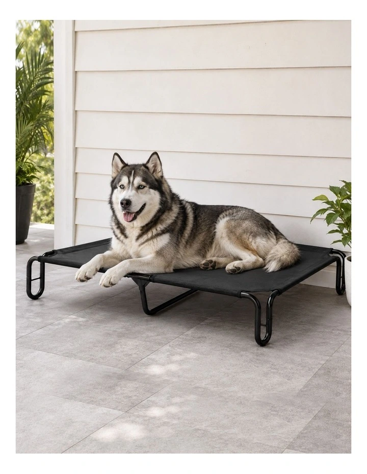 Pawz Elevated Dog Bed L Breathable Mesh Cooling for Indoor Outdoor Black image 6