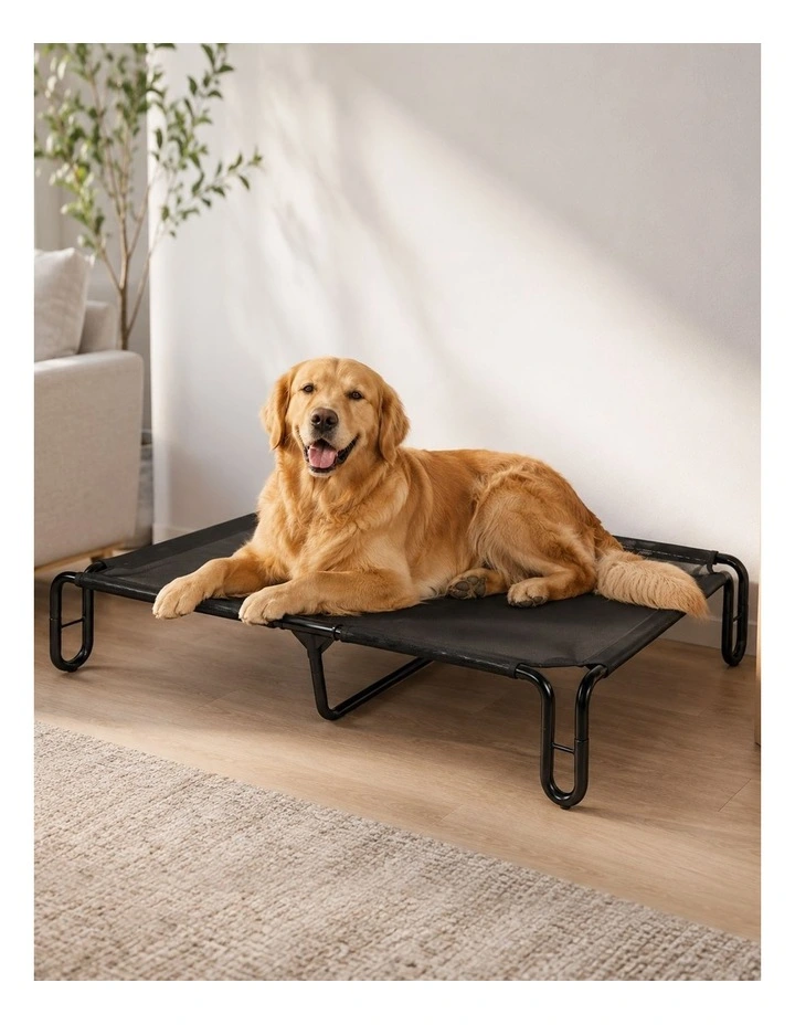 Pawz Elevated Dog Bed L Breathable Mesh Cooling for Indoor Outdoor Black image 7