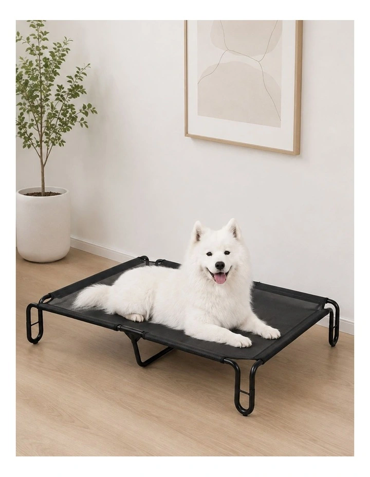 Pawz Elevated Dog Bed M Breathable Mesh Cooling for Indoor Outdoor Black image 7