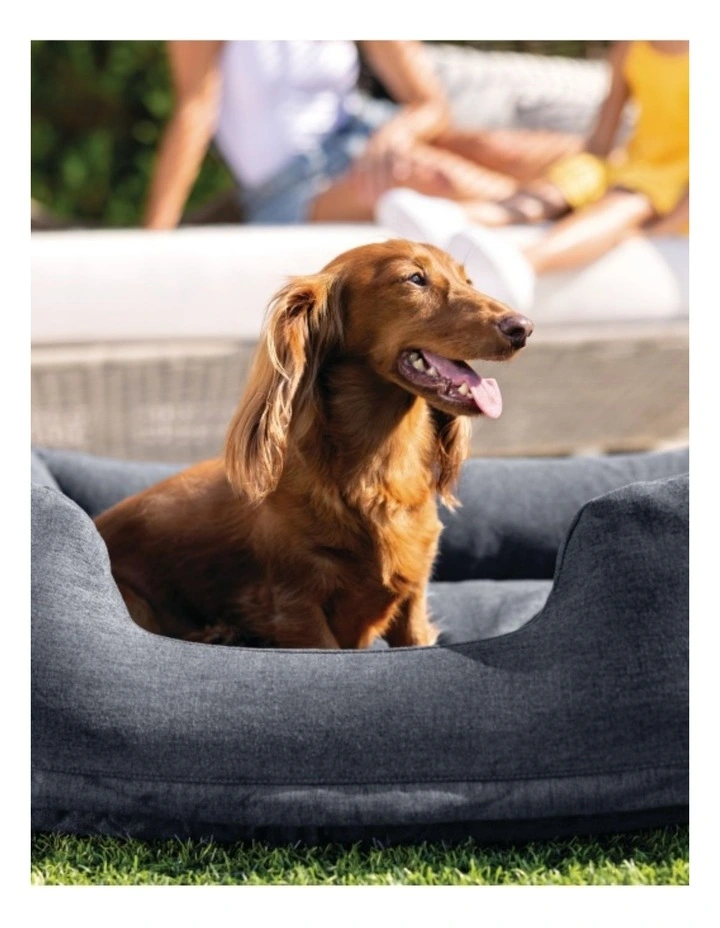 Intex Small Travel Inflatable Pet Bed Grey Portable With Pump For Comfort image 5