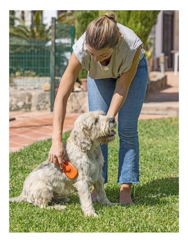 Vigar Pets Club Dog Metallic Hair Brush and Comb Orange image 3