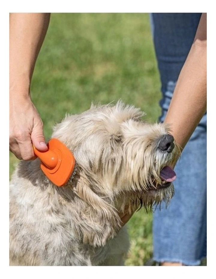 Vigar Pets Club Dog Metallic Hair Brush and Comb Orange image 4