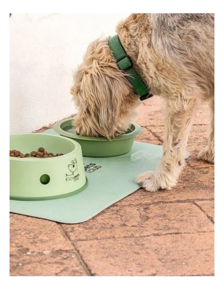 Vigar Pets Club Cat and Dog 3 in 1 Feeder Bowl Green Animal Feeding image 3