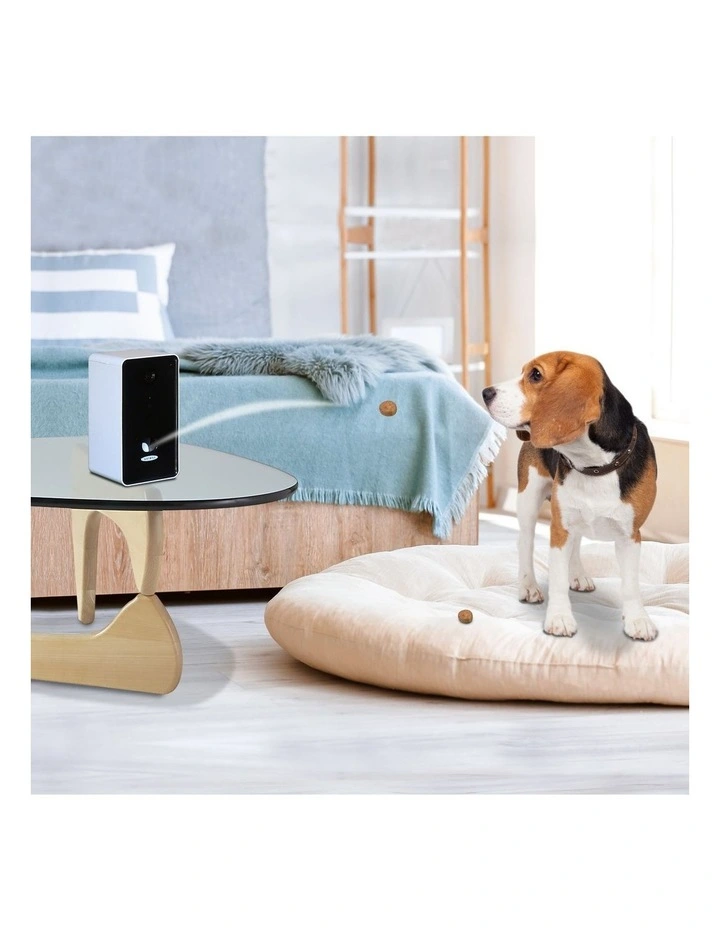 Smart Treat Feeder With Wifi Camera in Multi image 3