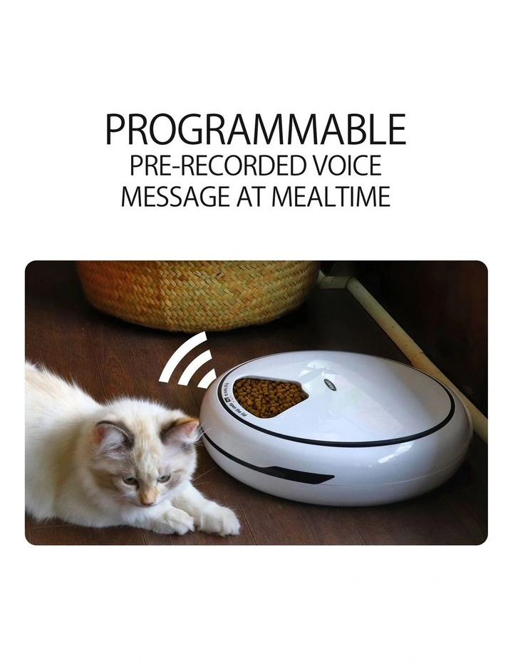 Programmable 5-Meal Pet Feeder in White image 4