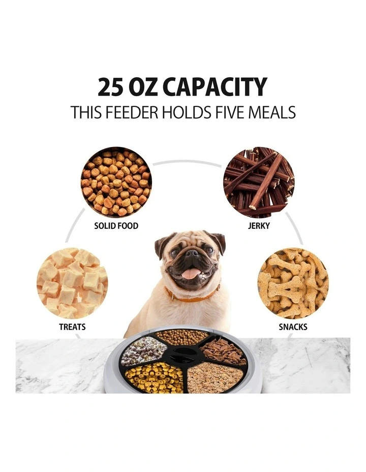 Programmable 5-Meal Pet Feeder in White image 5