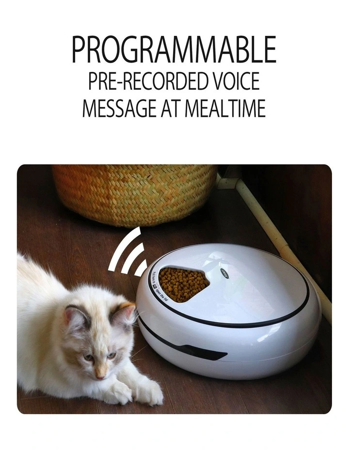 Programmable 5-Meal Pet Feeder in White image 5