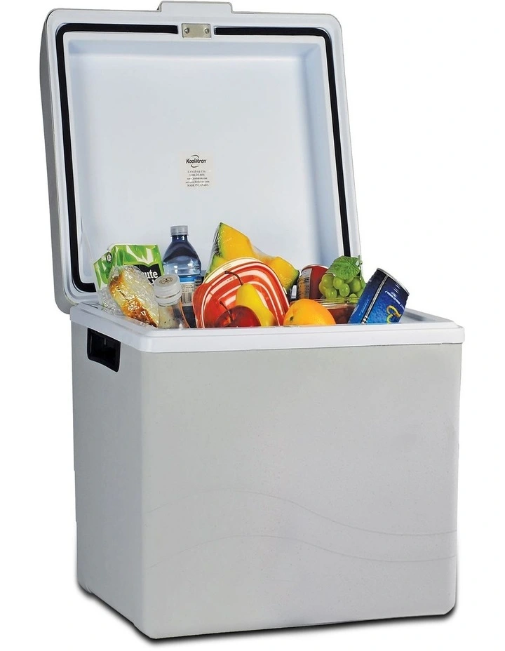 Iceless 12V Travel Cooler 42L image 1