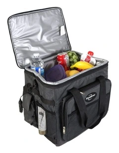 Electric Cool Bag 12V 25L