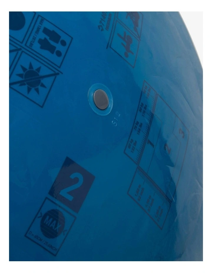 Decathlon | Durable Swiss Ball Size 2 / 65 cm - Turquoise image 4