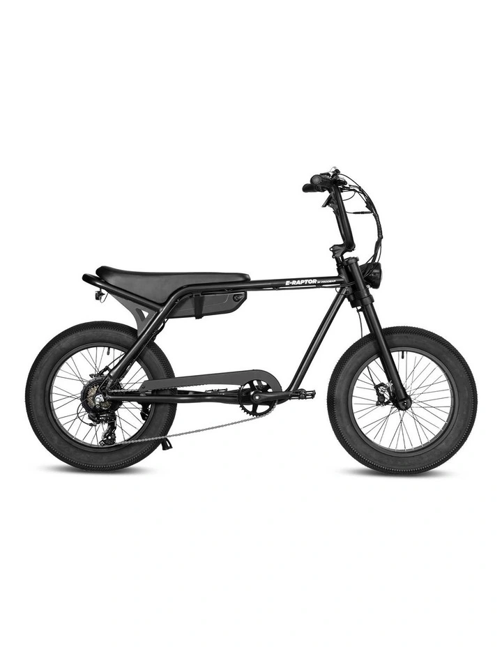 Progear E-Raptor 20 Electric Street Bike 250w in Matte Black image 2