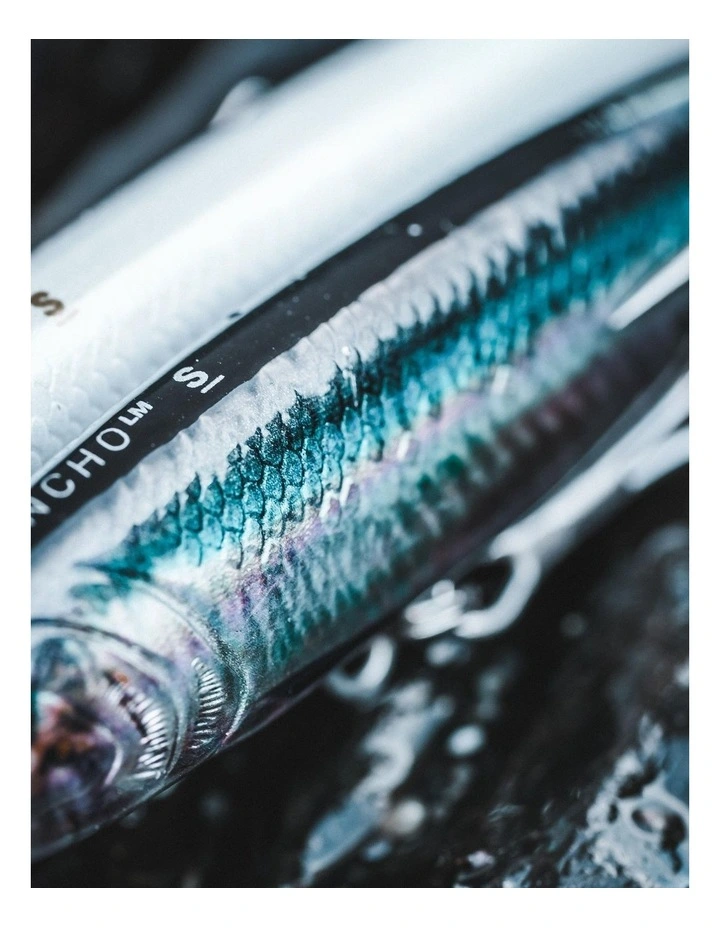Decathlon | Sea lure fishing ANCHO LM 95 US ANCHOVY hard lure image 6