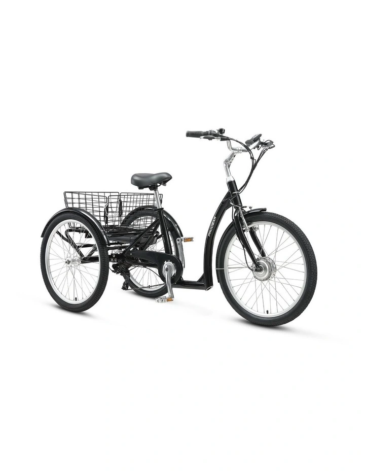 Progear Bikes E-Free 24 E-Trike image 1