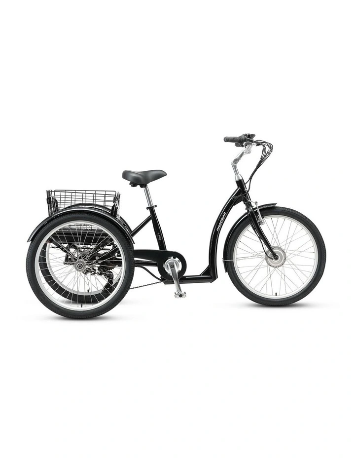 Progear Bikes E-Free 24 E-Trike image 2