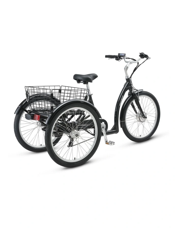 Progear Bikes E-Free 24 E-Trike image 3