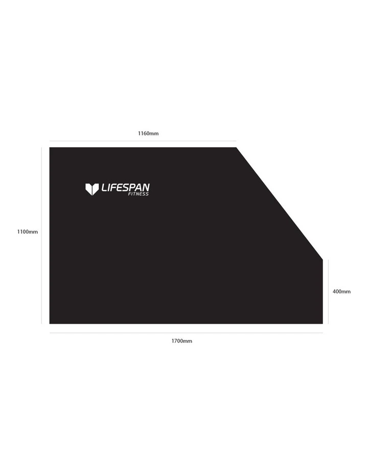 Lifespan Fitness Recumbent Bike Cover image 2