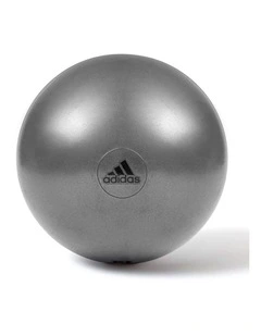 75cm Gym Ball Grey