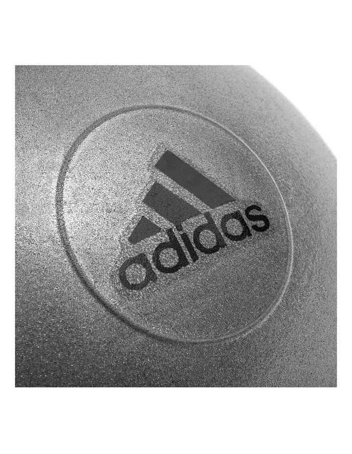 75cm Gym Ball Grey image 5