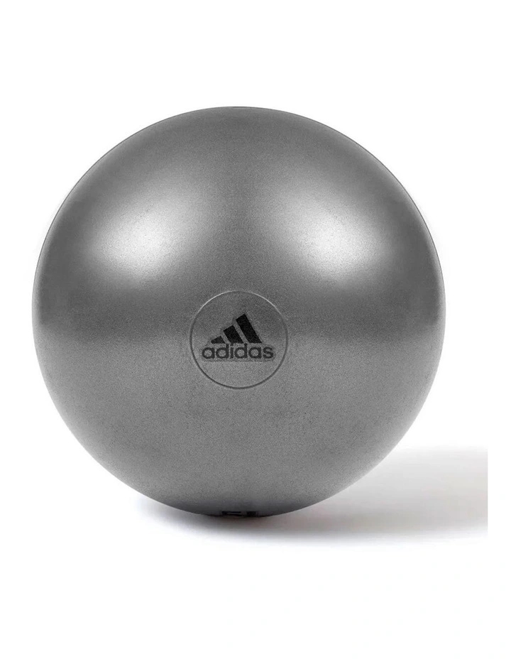 65cm Grey Gym Ball image 6