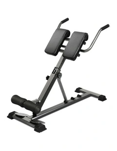 Finex Weight Bench Roman Chair Back Hyperextension Extension Fitness Equipments
