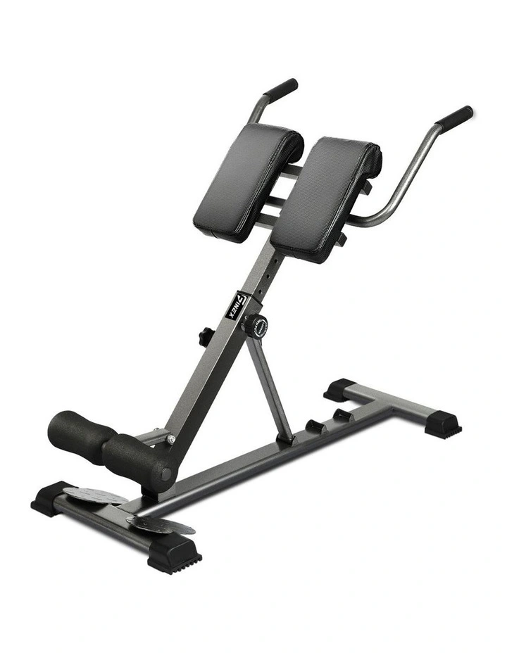 Finex Weight Bench Roman Chair Back Hyperextension Extension Fitness Equipments image 1