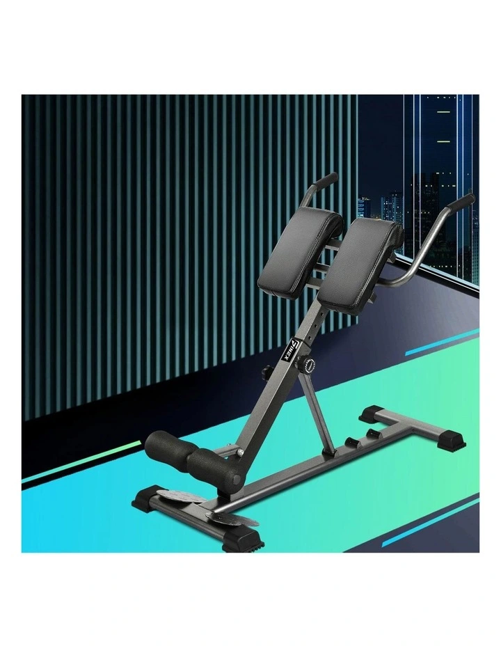Finex Weight Bench Roman Chair Back Hyperextension Extension Fitness Equipments image 4