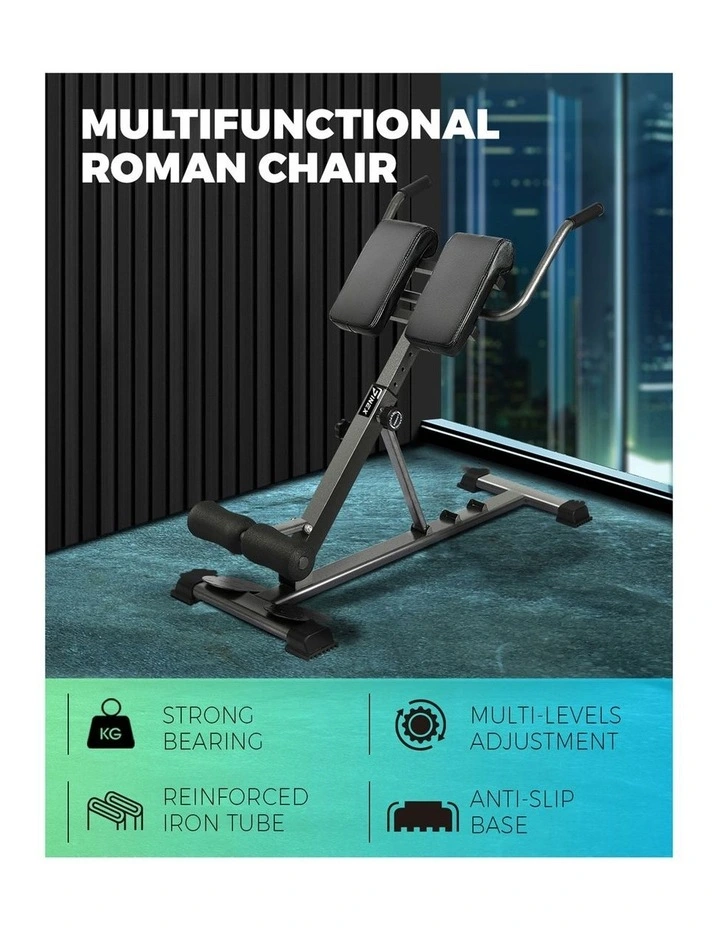Finex Weight Bench Roman Chair Back Hyperextension Extension Fitness Equipments image 5
