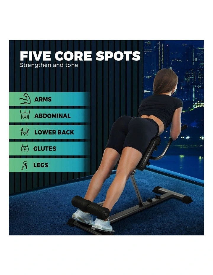 Finex Weight Bench Roman Chair Back Hyperextension Extension Fitness Equipments image 6