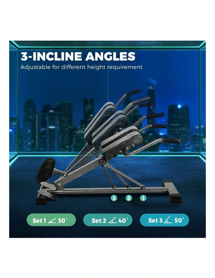 Finex Weight Bench Roman Chair Back Hyperextension Extension Fitness Equipments image 7