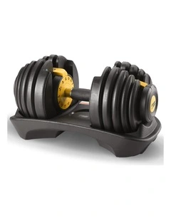 Powertrain 24kg Adjustable Dumbbell in Black & Gold