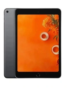 Apple iPad mini 7.9-inch (5th Generation) Wi-Fi Cellular Space Grey Refurbished