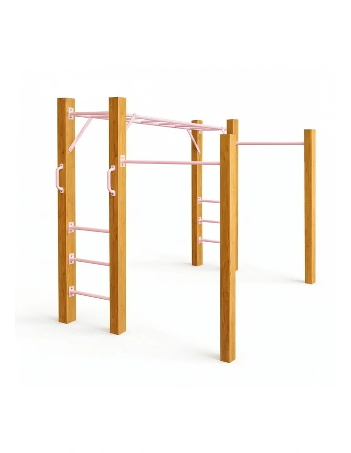 Monkey Bars - Baby Pink Accessories image 1
