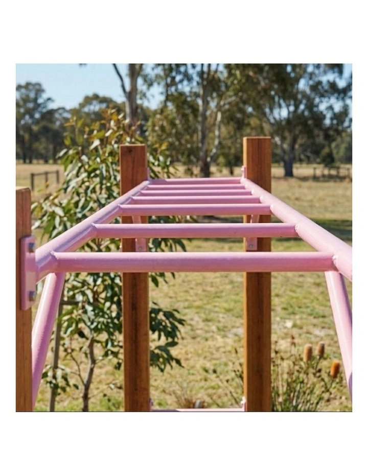 Monkey Bars - Baby Pink Accessories image 2