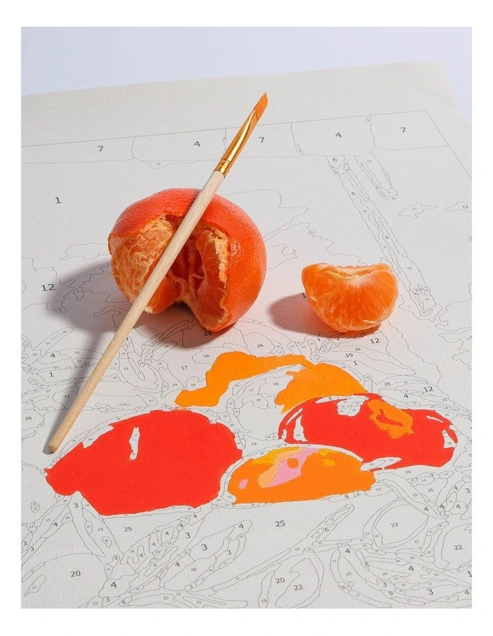 Bowl Of Oranges Paint By Numbers Kit image 3