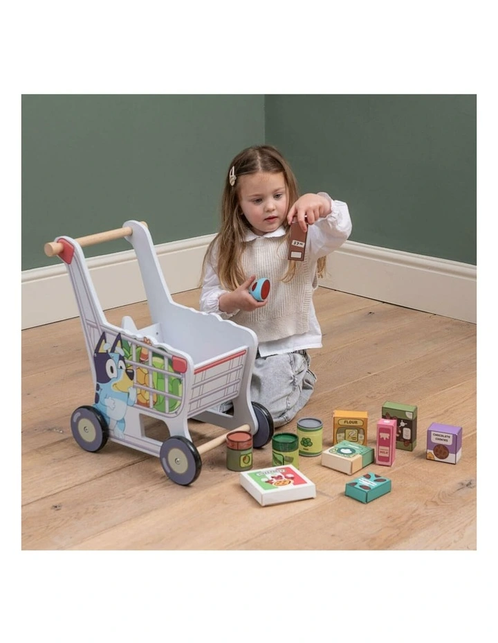 Wooden Shopping Trolley Activity Toy image 5