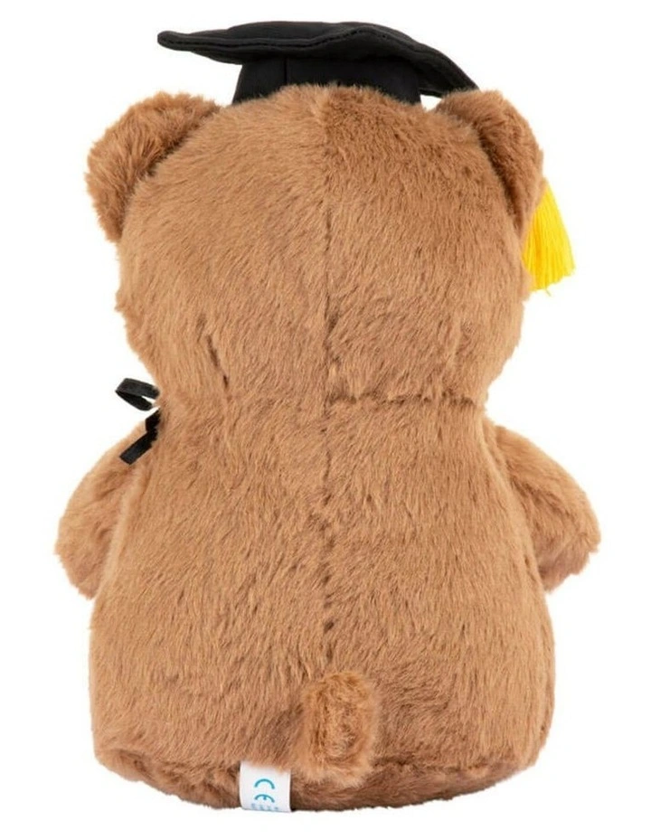 Graduation Bear Medium Card Soft Toy Gift 20cm image 4