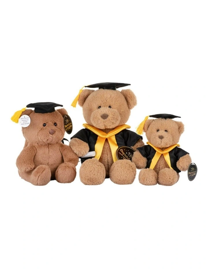 Graduation Bear Medium Card Soft Toy Gift 20cm image 6