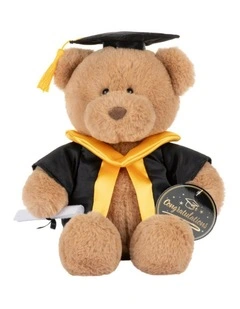Graduation Bear with Scroll Large Soft Toy 24cm