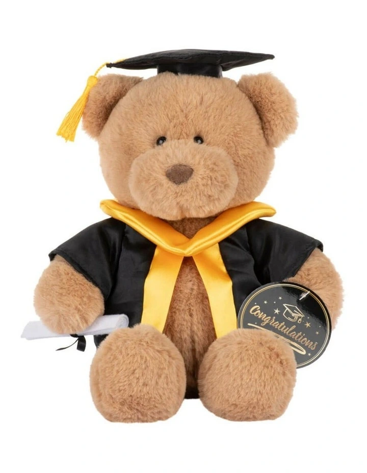 Graduation Bear with Scroll Large Soft Toy 24cm image 1