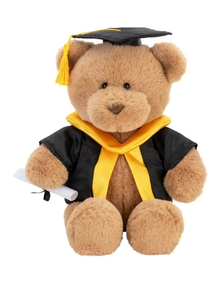 Graduation Bear with Scroll Large Soft Toy 24cm image 2