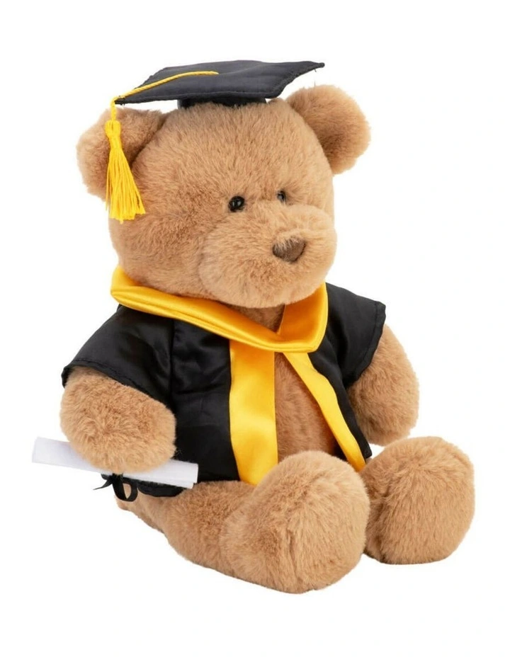 Graduation Bear with Scroll Large Soft Toy 24cm image 3