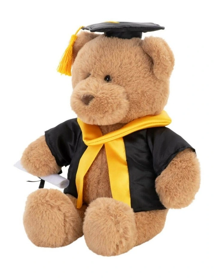 Graduation Bear with Scroll Large Soft Toy 24cm image 4
