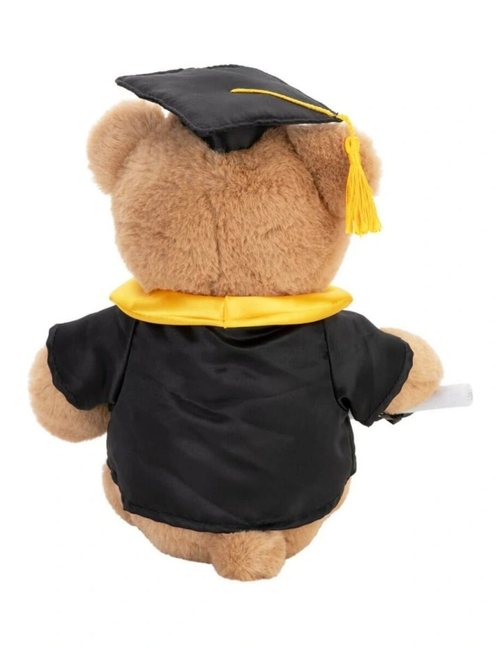 Graduation Bear with Scroll Large Soft Toy 24cm image 5