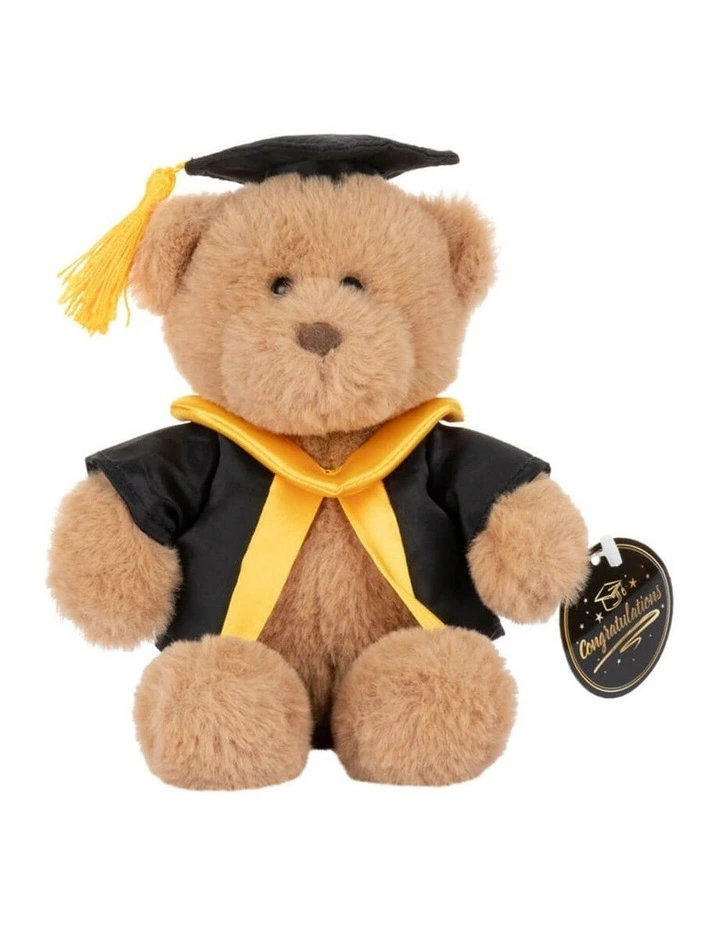 Medium Graduation Bear Soft Toy 20cm image 1