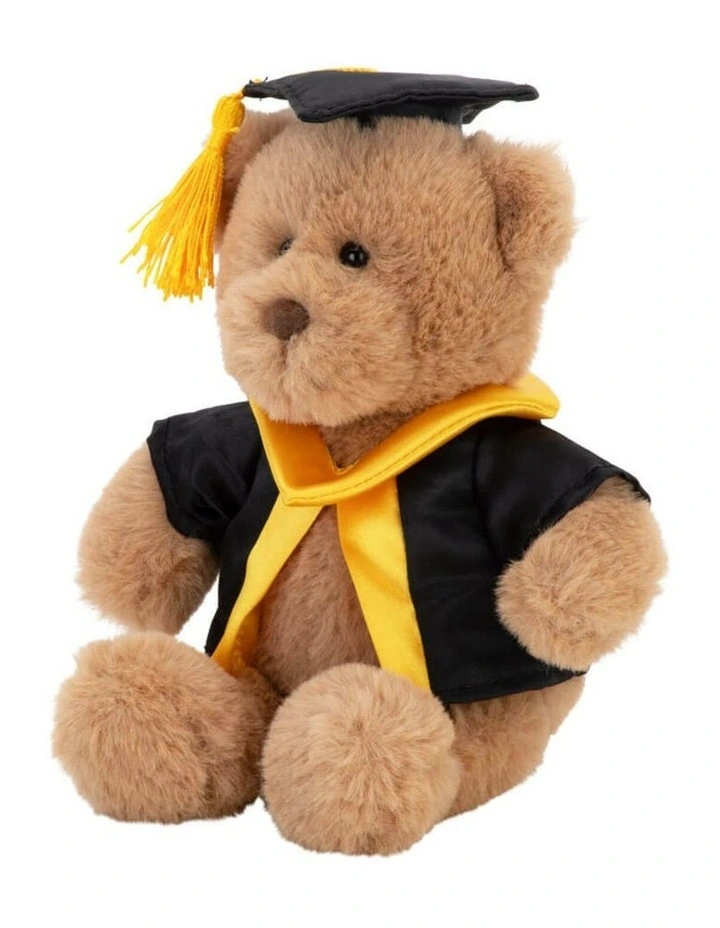 Medium Graduation Bear Soft Toy 20cm image 4