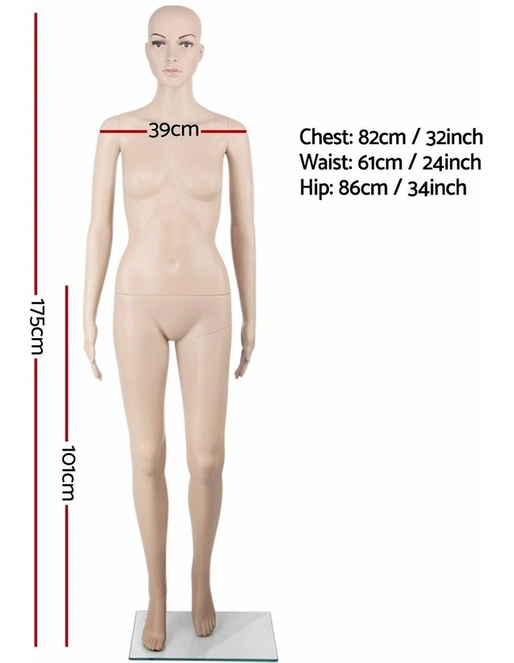 Mannequin Full Body With Head Dummy Model Display image 4